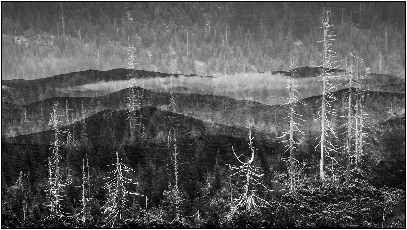 2025 Oktober Manfred Buhse