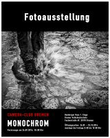 2014_Plakat-Monochrom